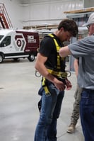 harness training