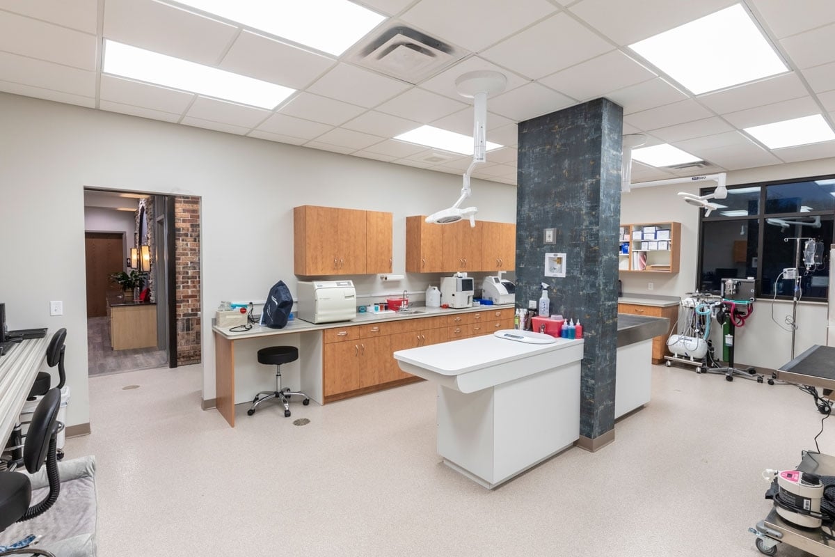 Interior of veterinary clinic showing treatment and exam spaces, constructed by Rice Companies