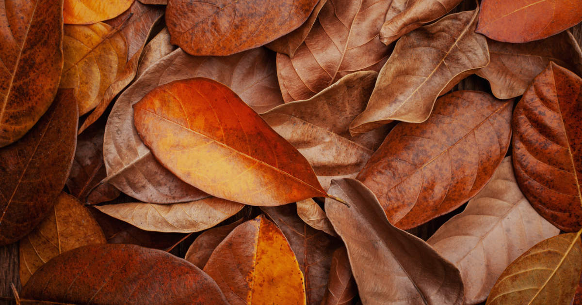 Before the First Freeze: Winter-Ready Your Building