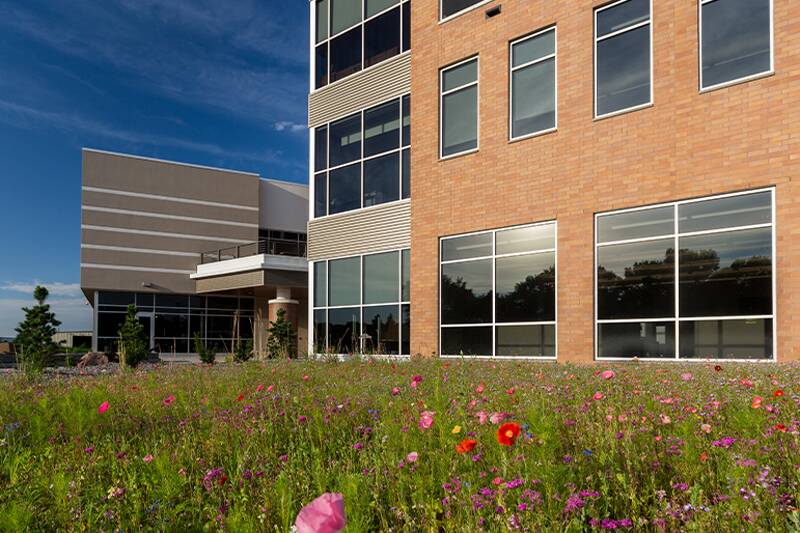 Outside of the building with many windows